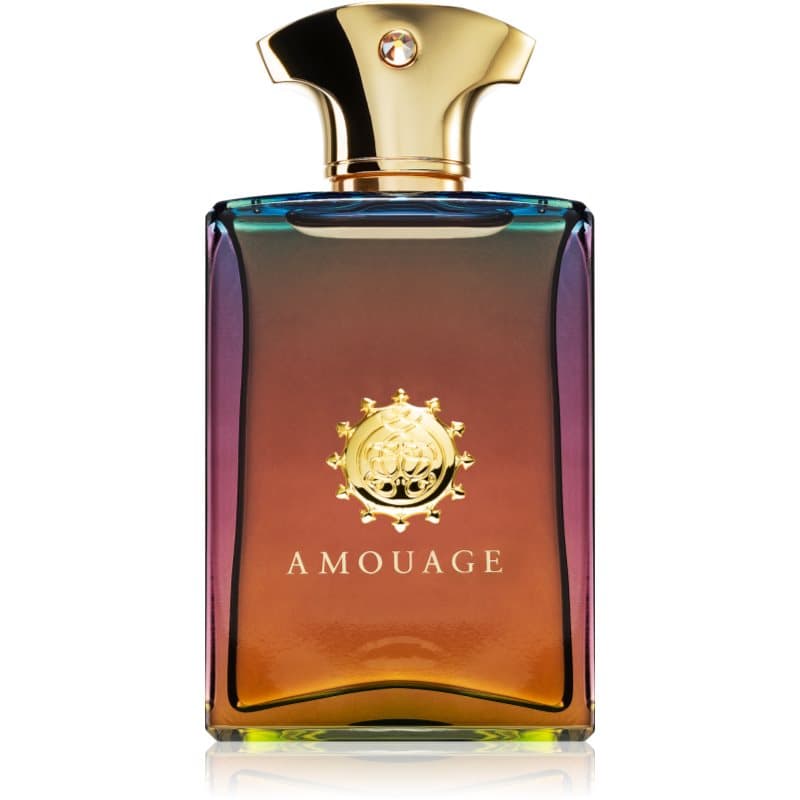 Amouage Imitation Eau de Parfum voor Mannen 100 ml