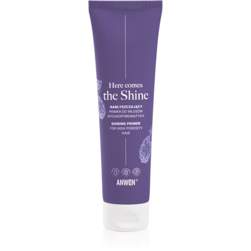 Anwen Here Comes The Shine Shining Primer For High Porosity Hair Make-up Base voor het Haar 100 ml