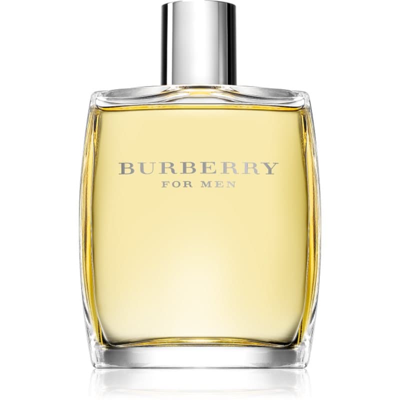 Burberry Burberry for Men Eau de Toilette voor Mannen 100 ml