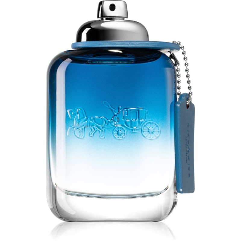 Coach Blue Eau de Toilette voor Mannen 100 ml