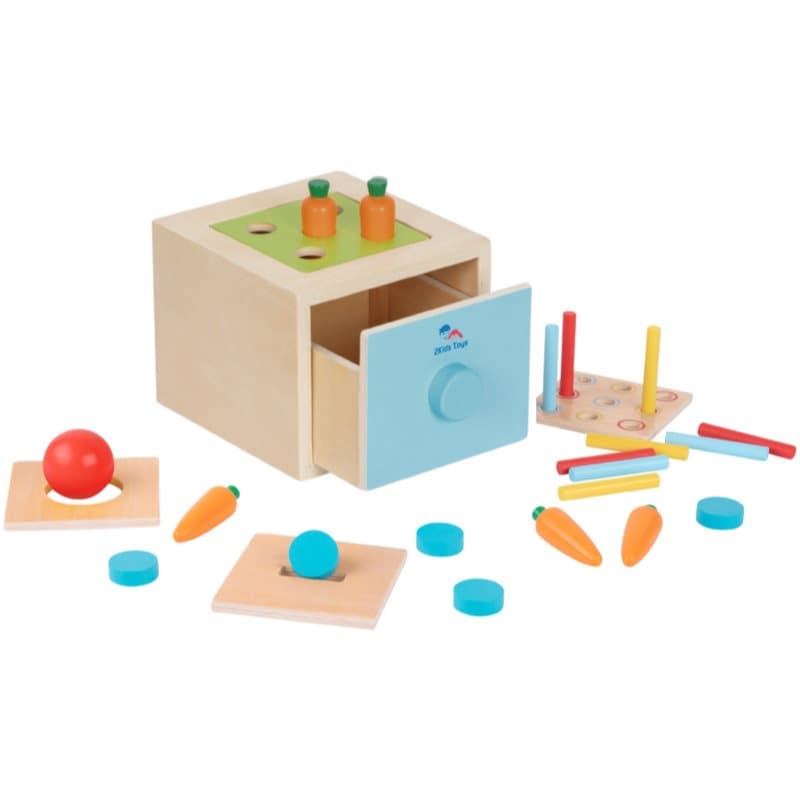 2Kids Toys Multi-Function Shape Sorter activity speelgoed 12m+ 1 st