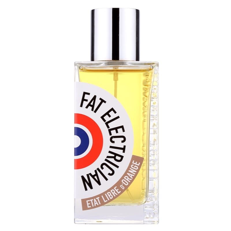 Etat Libre d’Orange Fat Electrician Eau de Parfum voor Mannen 100 ml