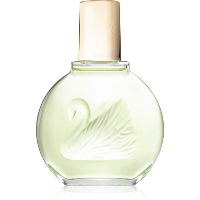 Gloria Vanderbilt Jardin a New York Eau de Parfum voor Vrouwen 100 ml