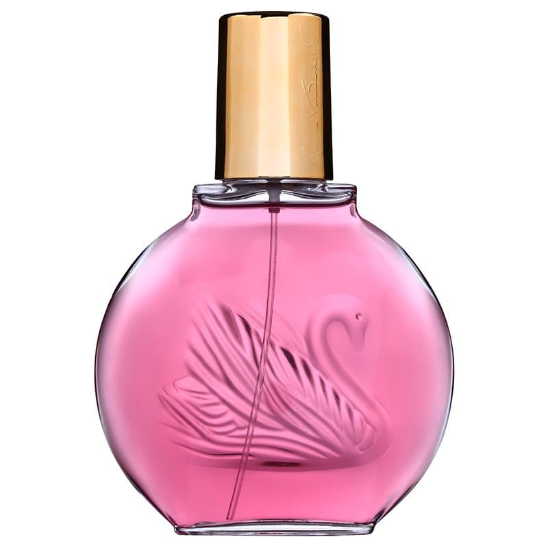 Gloria Vanderbilt Minuit New a York Eau de Parfum voor Vrouwen 100 ml
