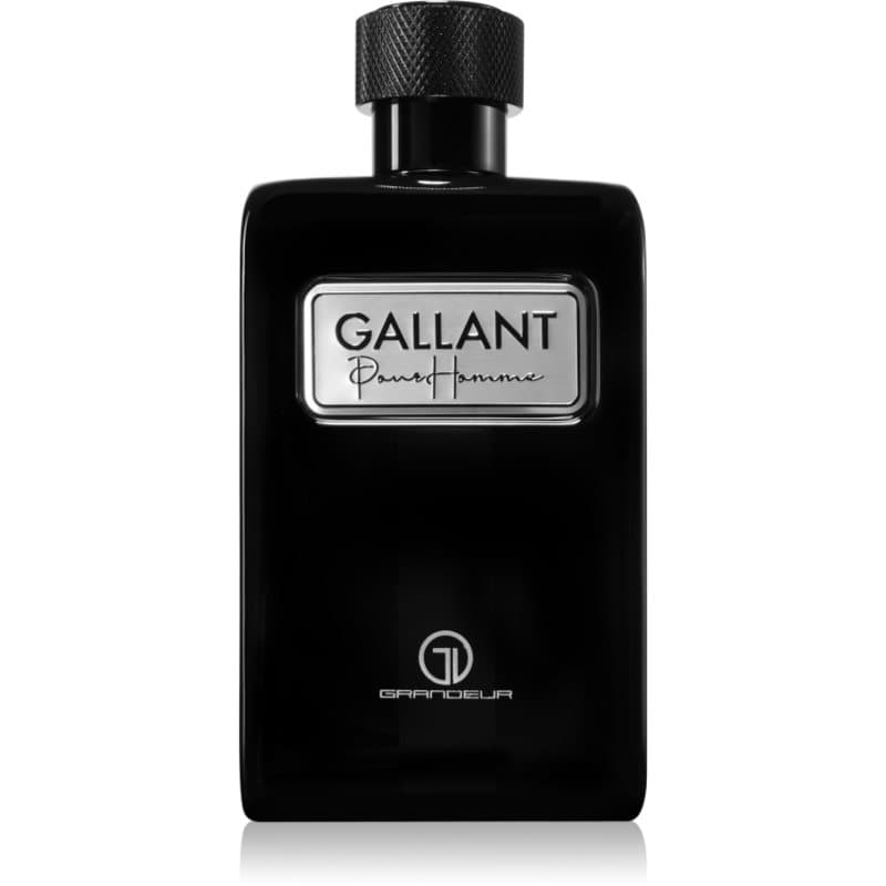 Grandeur Gallant Eau de Parfum voor Mannen 100 ml