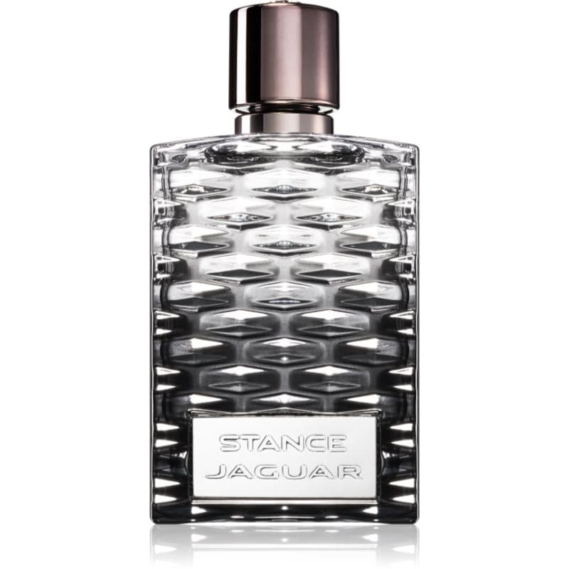 Jaguar Stance Eau de Toilette voor Mannen 100 ml