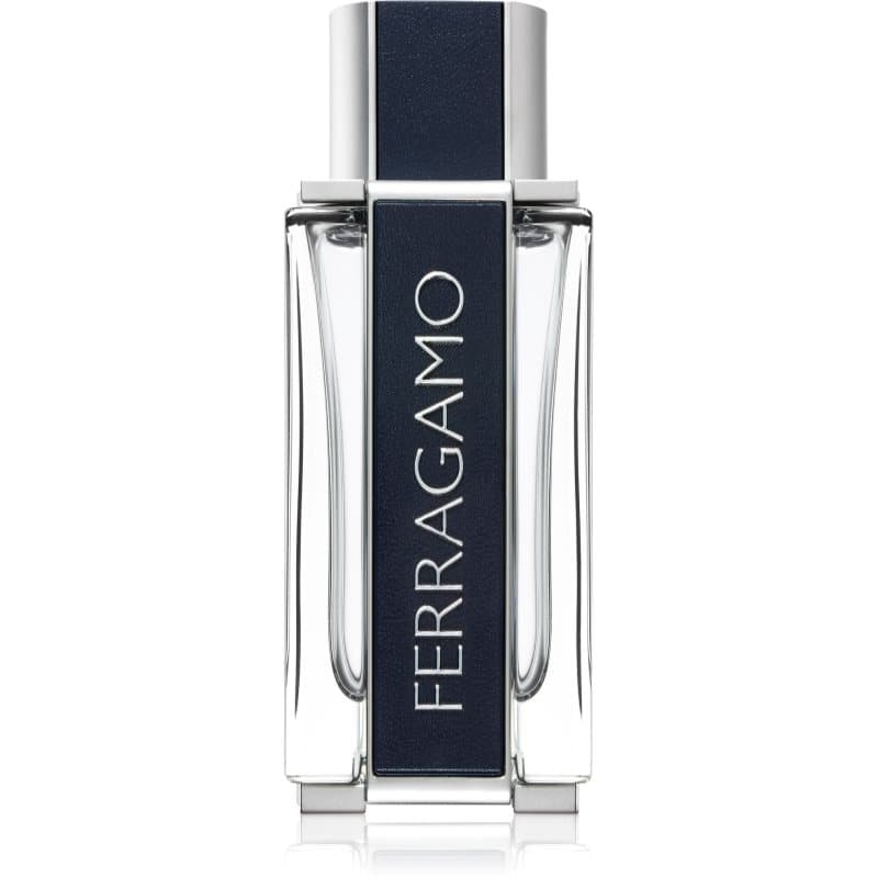 Ferragamo Ferragamo Eau de Toilette voor Mannen 100 ml