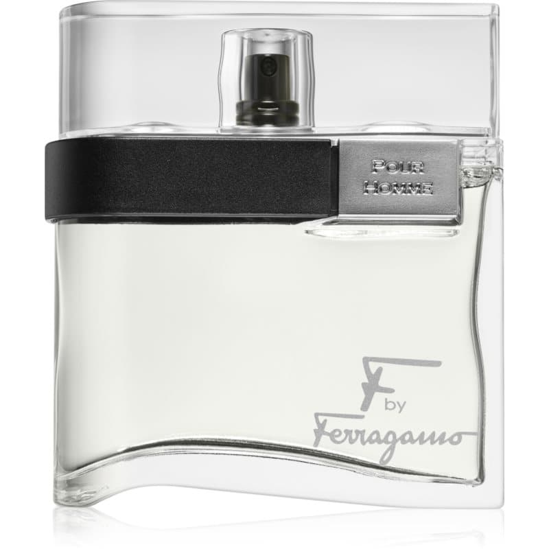 Ferragamo F by Ferragamo Eau de Toilette voor Mannen 100 ml