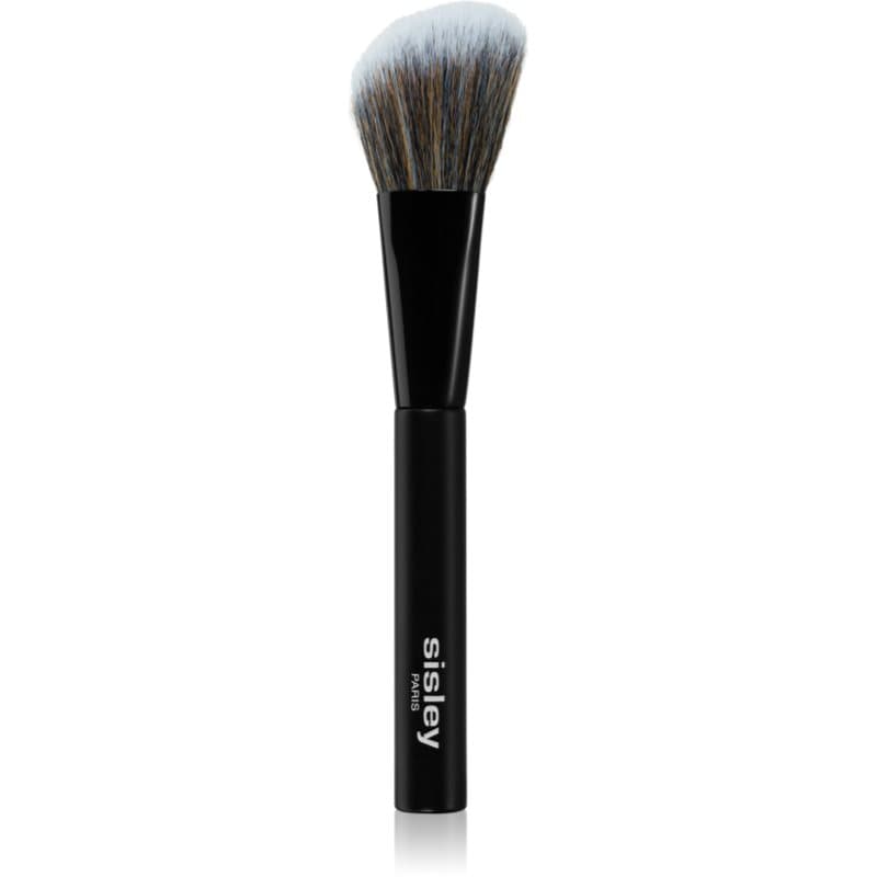Sisley Accessories Phyto-Lip Delight Blush Penseel 1 st