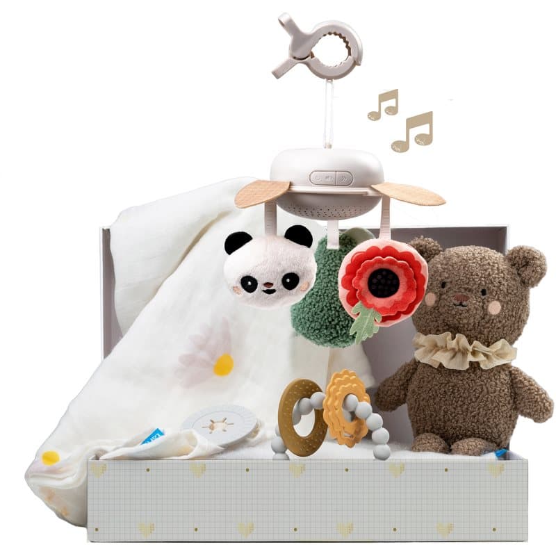 Taf Toys Luxury Newborn Kit Gift Set voor baby’s